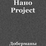 Скачать песню Нано Project - Доберманы (ivan shell Remix)