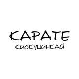 Скачать песню Петя Светильник - Карате (Киокушинкай)