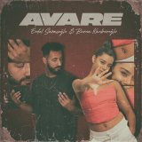 Скачать песню Erdal Saraçoğlu & Berna Kanberoğlu - Avare