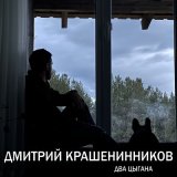 Скачать песню Дмитрий Крашенинников - Два цыгана