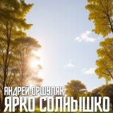 Скачать песню Андрей Оршуляк - С утра до ночи