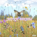 Скачать песню 8Slof - Пролог