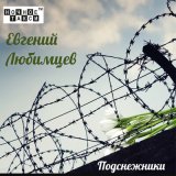 Скачать песню Евгений Любимцев - Кружится белый снег