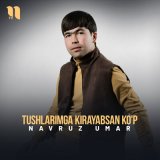 Песня Navruz Umar - Tushlarimga kirayabsan ko'p