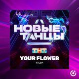 Песня Kalem - Your Flower