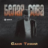 Песня Саня Тихий - Белая сова