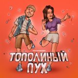 Песня Тестостерович - Тополиный пух