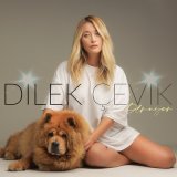 Песня Dilek Çevik - Olmuyor (Akustik)