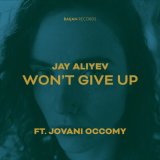 Песня Jay Aliyev - Won't Give Up