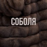 Песня Сола Монова - Соболя