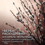 Песня Ансамбль "Вольница", Андрей Булатников, Дарья Попова - Шёл казак на побывку домой