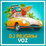 Песня DJ Piligrim - Yoz