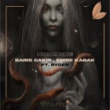 Песня Barış Çakır, Emre Kabak, Ryder - Homicide