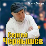 Песня Сергей Чернышев - Белые птицы